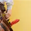 Handyman repair service in Stockton, CA for home fixes and improvements